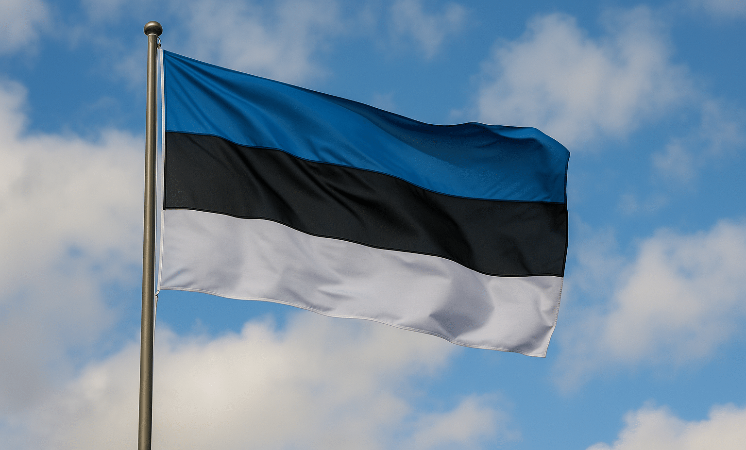 Lipputangossa heiluu Viron lippu. Lipun värit ovat sininen, musta ja valkoinen. Taustalla näkyy sinistä taivasta ja pilviä.