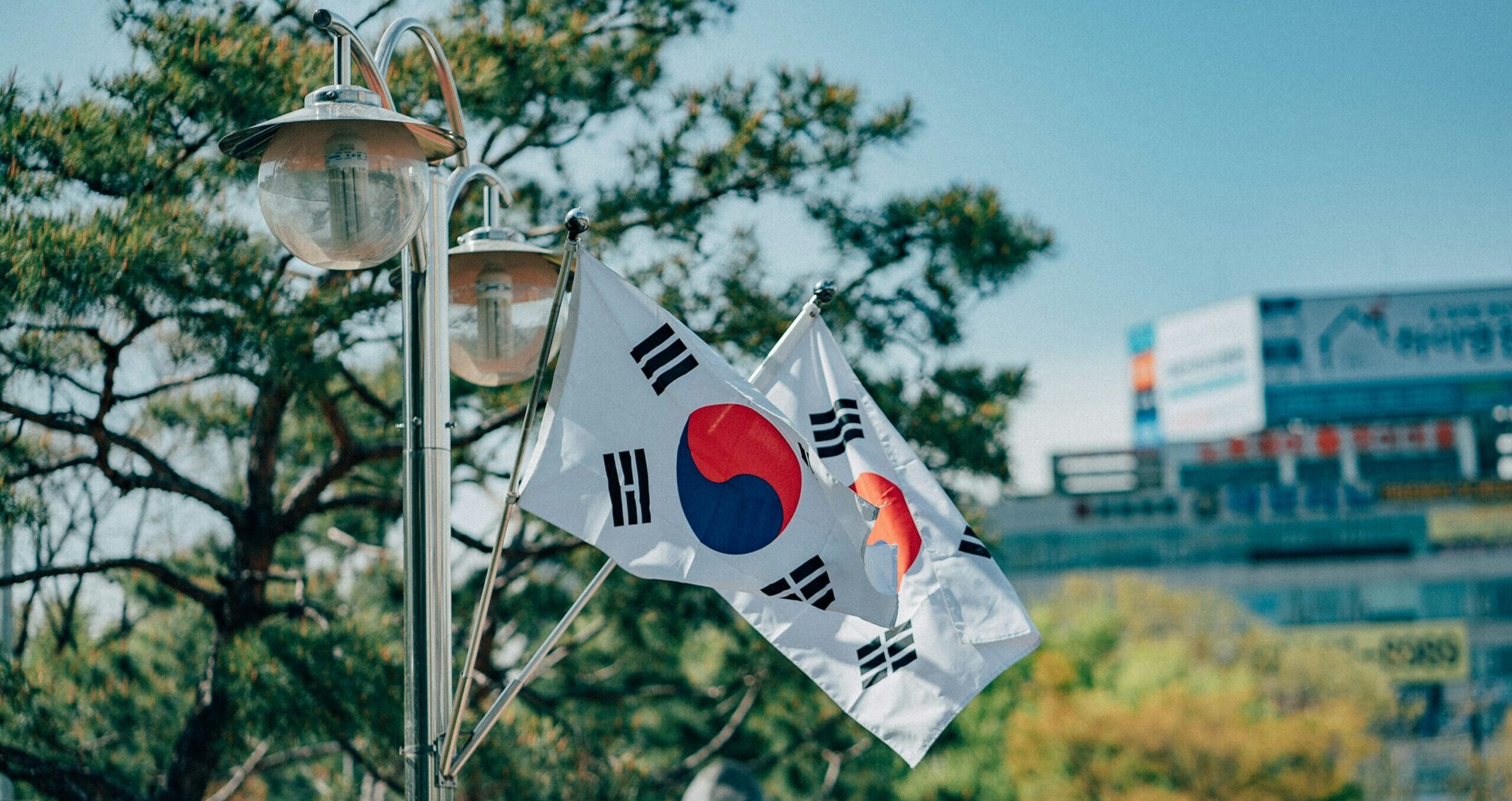 Kuvassa on kaksi Etelä-Korean lippua, jotka on kiinnitetty metalliseen, kaksihaaraiseen katuvalopylvääseen. Liput riippuvat viistosti alaspäin. Etualalla ja lippujen takana näkyy vihreitä havupuita. Taustalla siintää epätarkkana kaupunkimaisema, jossa erottuu vaaleita rakennuksia ja mainoskylttejä. Sää on aurinkoinen ja taivas on kirkkaansininen, mikä luo kuvaan raikkaan päivänvalon tunnelman.