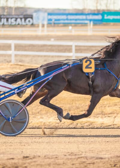 Hevonen juoksee raviradalla ravikärry perässään