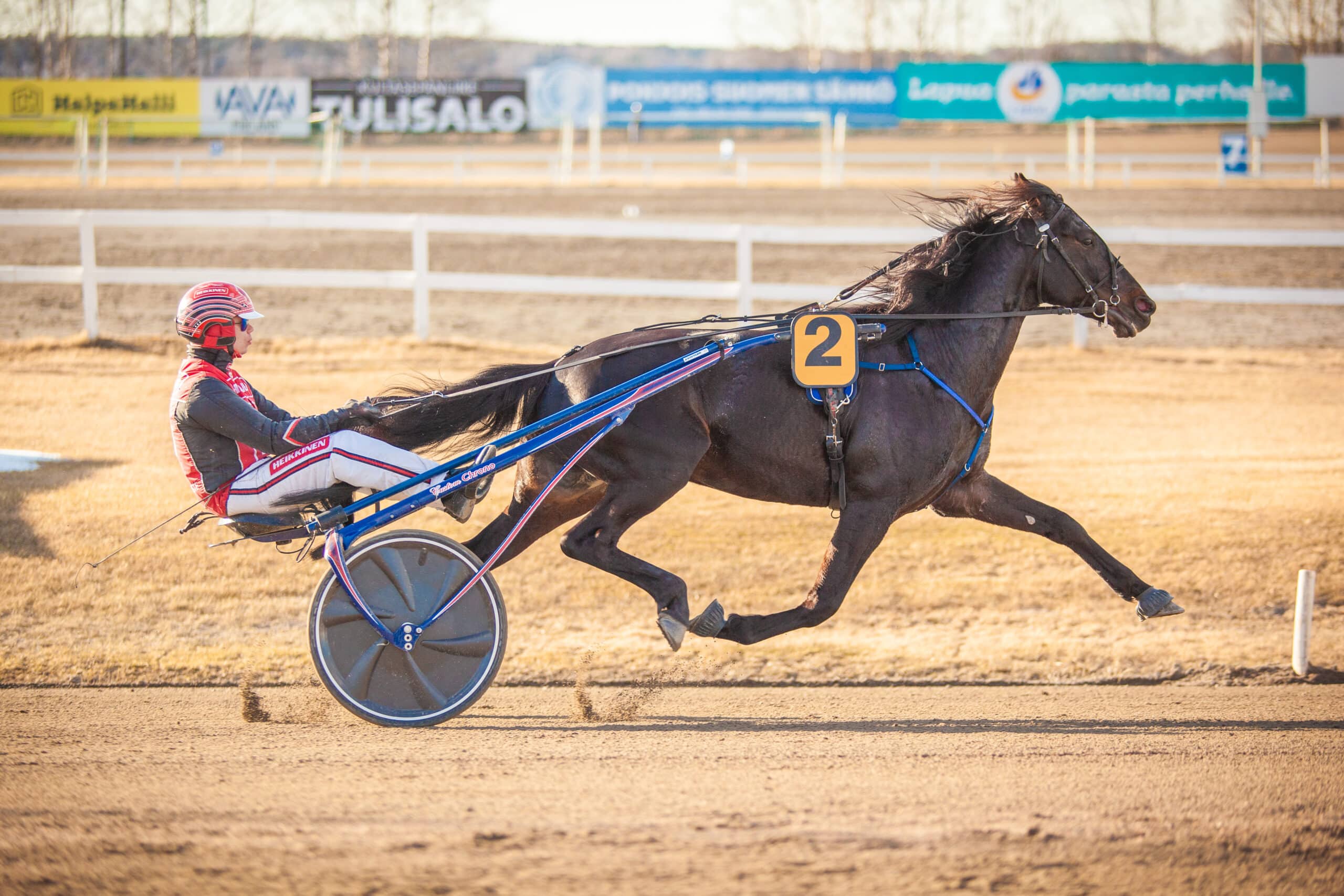 Hevonen juoksee raviradalla ravikärry perässään