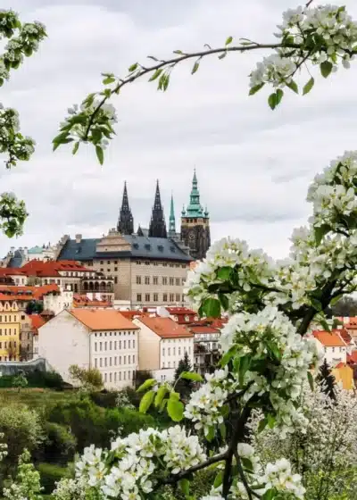 Keväinen Prahan kaupungin siluetti omenapuiden kukkien takaa
