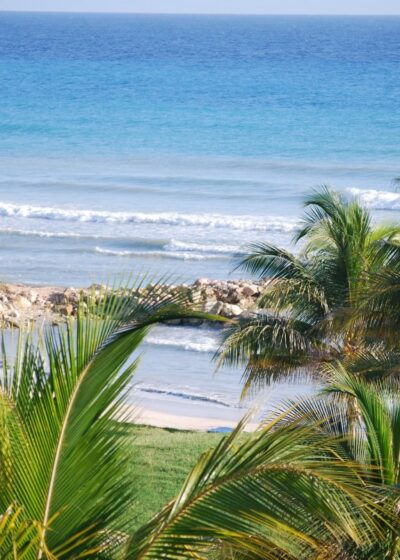 Ranta, jossa aallot lyövät rantaan palmupuiden takana