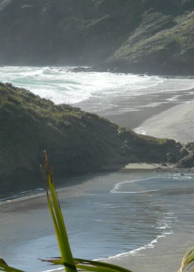 Vapaan lisenssin kuva osoitteesta https://www.publicdomainpictures.net/en/free-download.php?image=scenic-new-zealand&id=102212